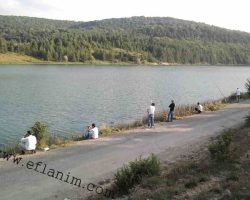 Esencik Göletinde Balık Tutan Vatandaşlar Eflani Göletleri Balık Tutanlar
