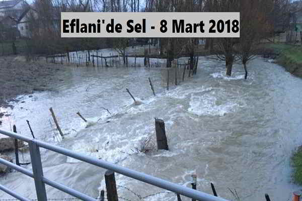 Eflani Sel 8 Mart 2018